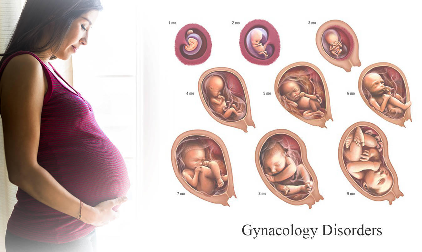 Best Gynecology Hospital in Vanasthalipuram