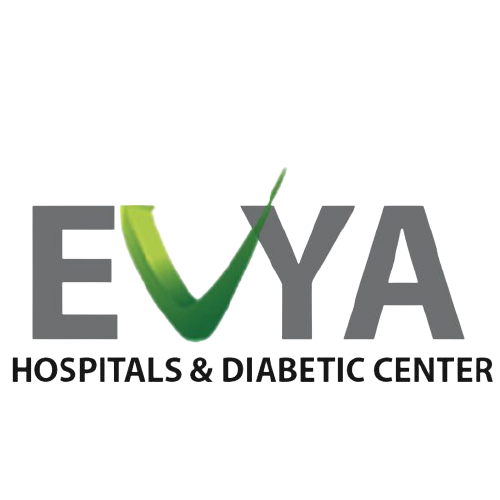 cropped-evya-logo-removebg-preview